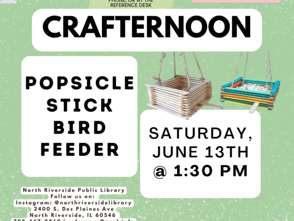 Crafternoon: Popsicle Stick Bird Feeder
